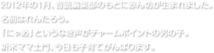 2012年の1月、音読編集部のもとに赤ん坊が生まれました。名前はれんたろう。「にゃあ」というなき声がチャームポイントの男の子。新米ママ土門、今日も子育てがんばります。